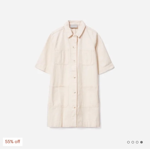 Everlane Dresses & Skirts - Everlane The Chore Mini Dress